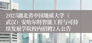 2025湖北省中国地质大学（武汉）安哈尔特智能工程与可持续发展学院校内招聘2人公告