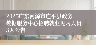 2025广东河源市连平县政务数据服务中心招聘就业见习人员3人公告