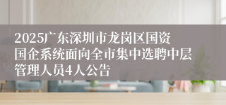 2025广东深圳市龙岗区国资国企系统面向全市集中选聘中层管理人员4人公告