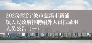 2025浙江宁波市慈溪市新浦镇人民政府招聘编外人员拟录用人员公告（一）