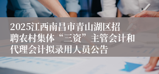 2025江西南昌市青山湖区招聘农村集体“三资”主管会计和代理会计拟录用人员公告