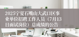 2025宁夏石嘴山大武口区事业单位招聘工作人员（7月13日面试岗位）总成绩的公告