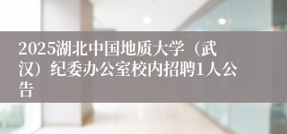 2025湖北中国地质大学（武汉）纪委办公室校内招聘1人公告