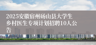 2025安徽宿州砀山县大学生乡村医生专项计划招聘10人公告