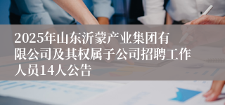 2025年山东沂蒙产业集团有限公司及其权属子公司招聘工作人员14人公告
