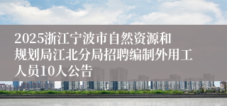 2025浙江宁波市自然资源和规划局江北分局招聘编制外用工人员10人公告