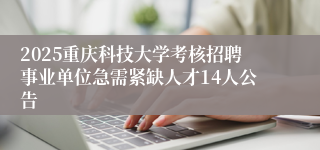 2025重庆科技大学考核招聘事业单位急需紧缺人才14人公告