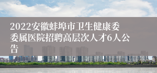 2022安徽蚌埠市卫生健康委委属医院招聘高层次人才6人公告