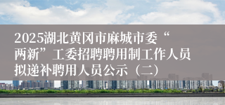 2025湖北黄冈市麻城市委“两新”工委招聘聘用制工作人员拟递补聘用人员公示（二）