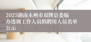 2025湖南永州市双牌县委编办选调工作人员拟聘用人员名单公示