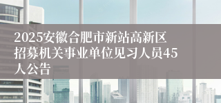 2025安徽合肥市新站高新区招募机关事业单位见习人员45人公告