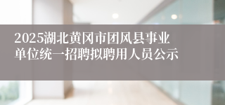 2025湖北黄冈市团风县事业单位统一招聘拟聘用人员公示
