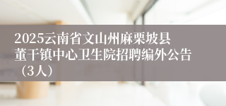 2025云南省文山州麻栗坡县董干镇中心卫生院招聘编外公告（3人）