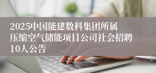 2025中国能建数科集团所属压缩空气储能项目公司社会招聘10人公告