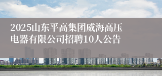 2025山东平高集团威海高压电器有限公司招聘10人公告