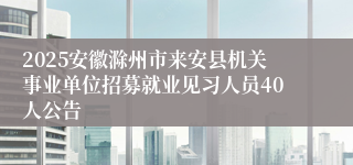 2025安徽滁州市来安县机关事业单位招募就业见习人员40人公告