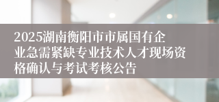 2025湖南衡阳市市属国有企业急需紧缺专业技术人才现场资格确认与考试考核公告