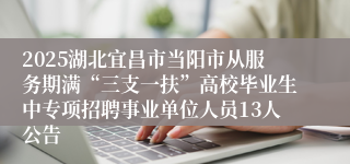 2025湖北宜昌市当阳市从服务期满“三支一扶”高校毕业生中专项招聘事业单位人员13人公告