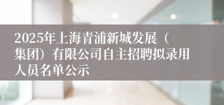 2025年上海青浦新城发展（集团）有限公司自主招聘拟录用人员名单公示