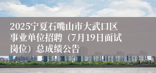 2025宁夏石嘴山市大武口区事业单位招聘（7月19日面试岗位）总成绩公告
