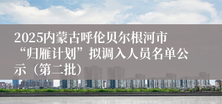 2025内蒙古呼伦贝尔根河市“归雁计划”拟调入人员名单公示（第二批）