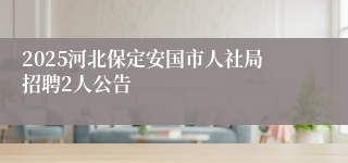 2025河北保定安国市人社局招聘2人公告
