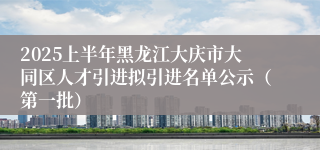 2025上半年黑龙江大庆市大同区人才引进拟引进名单公示（第一批）