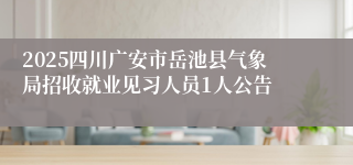2025四川广安市岳池县气象局招收就业见习人员1人公告