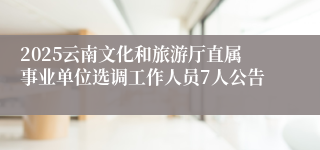 2025云南文化和旅游厅直属事业单位选调工作人员7人公告