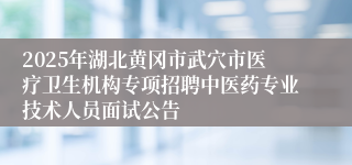 2025年湖北黄冈市武穴市医疗卫生机构专项招聘中医药专业技术人员面试公告