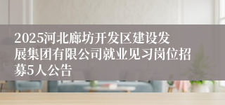 2025河北廊坊开发区建设发展集团有限公司就业见习岗位招募5人公告