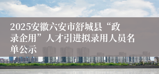 2025安徽六安市舒城县“政录企用”人才引进拟录用人员名单公示