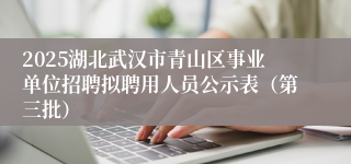 2025湖北武汉市青山区事业单位招聘拟聘用人员公示表（第三批）