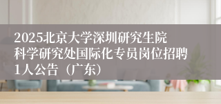 2025北京大学深圳研究生院科学研究处国际化专员岗位招聘1人公告（广东）