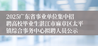 2025广东省事业单位集中招聘高校毕业生湛江市麻章区太平镇综合事务中心拟聘人员公示