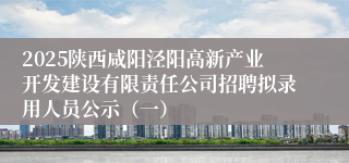 2025陕西咸阳泾阳高新产业开发建设有限责任公司招聘拟录用人员公示（一）