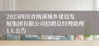 2025四川省纳溪城乡建设发展集团有限公司招聘总经理助理1人公告