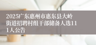 2025广东惠州市惠东县大岭街道招聘村组干部储备人选111人公告