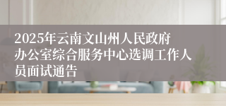 2025年云南文山州人民政府办公室综合服务中心选调工作人员面试通告