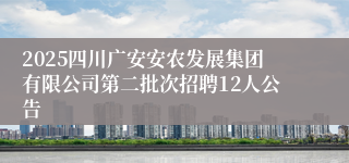 2025四川广安安农发展集团有限公司第二批次招聘12人公告