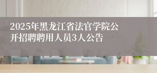 2025年黑龙江省法官学院公开招聘聘用人员3人公告