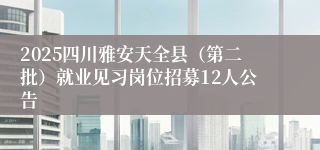 2025四川雅安天全县（第二批）就业见习岗位招募12人公告