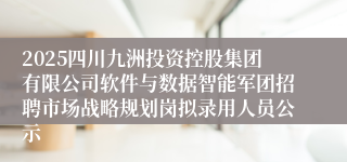 2025四川九洲投资控股集团有限公司软件与数据智能军团招聘市场战略规划岗拟录用人员公示