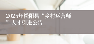 2025年松阳县“乡村运营师”人才引进公告
