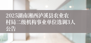 2025湖南湘西泸溪县农业农村局二级机构事业单位选调3人公告