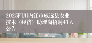 2025四川内江市威远县农业技术（经济）助理岗招聘41人公告