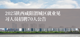 2025陕西咸阳渭城区就业见习人员招聘70人公告          