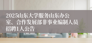 2025山东大学服务山东办公室、合作发展部非事业编制人员招聘1人公告