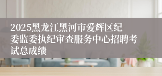 2025黑龙江黑河市爱辉区纪委监委执纪审查服务中心招聘考试总成绩