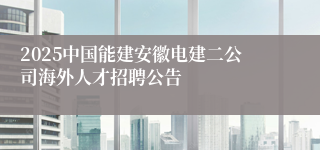 2025中国能建安徽电建二公司海外人才招聘公告